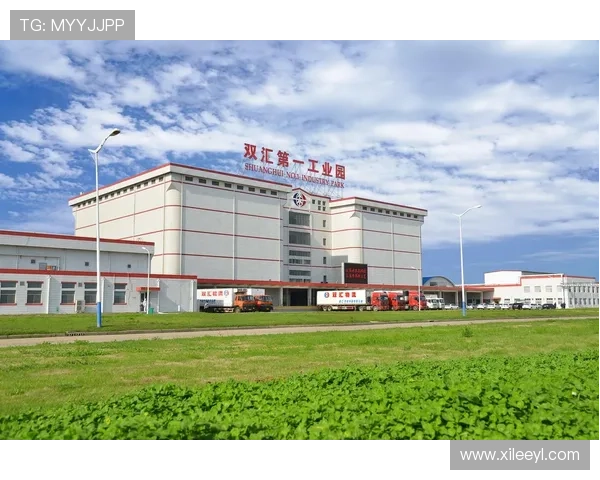 全面解析HO168博士:行业领先的专业发展平台 全面解析HO168博士:行业领先的专业发展平台